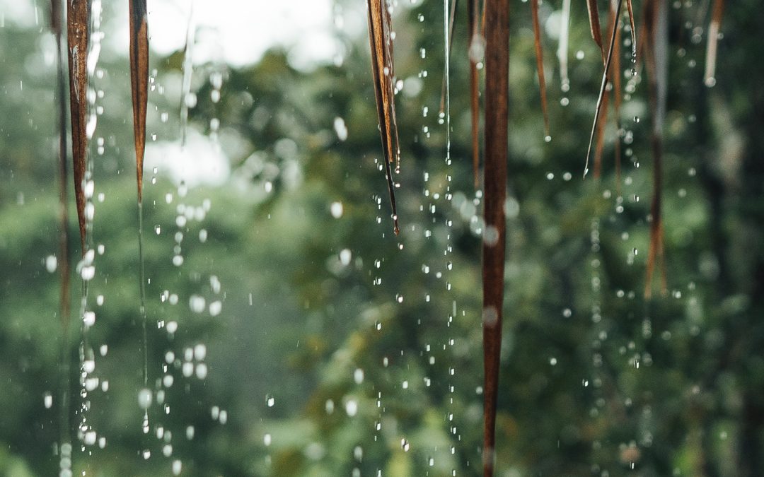 Septiembre en Tailandia: retiro budista de las lluvias y renovación interior