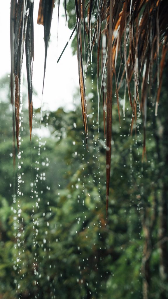 lluvias tailandia