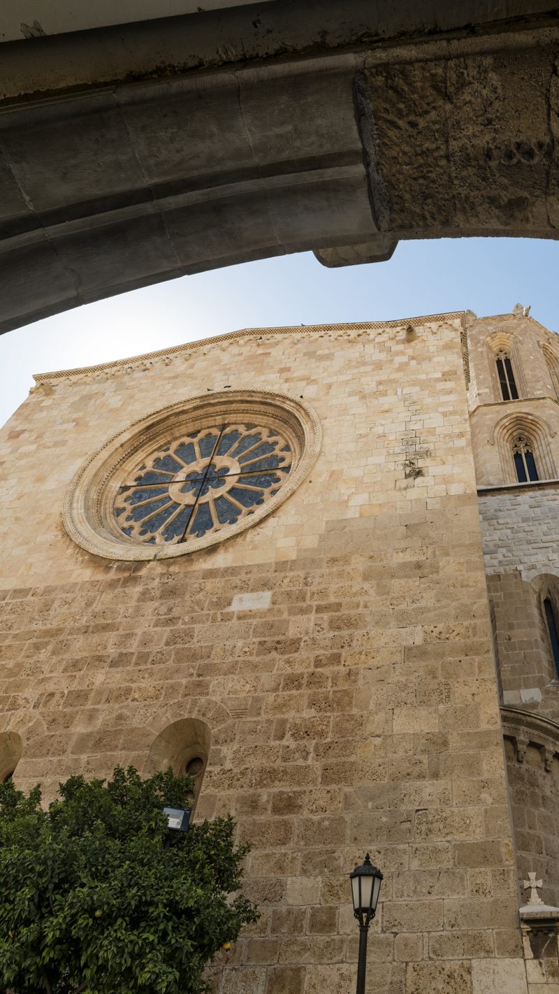 massage-7452918_1280 santa-tecla-lotus